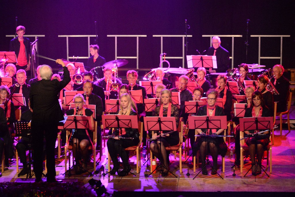 ../Images/Jubileumconcert 100 jaar Harpe Davids 082.jpg